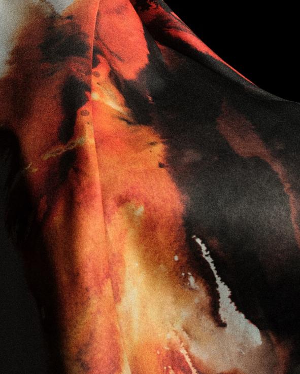 屡获冠军的 屡获冠军的