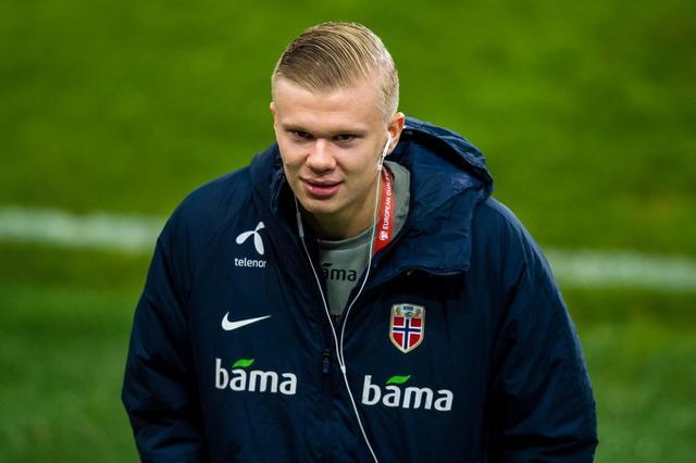 尾蛇队在国 尾蛇队在国